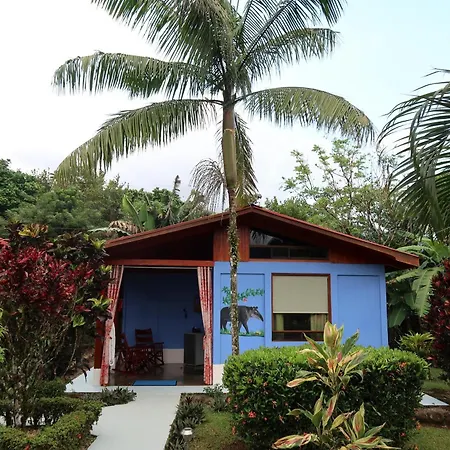 Sueño Río Celeste Boutique B&B-2